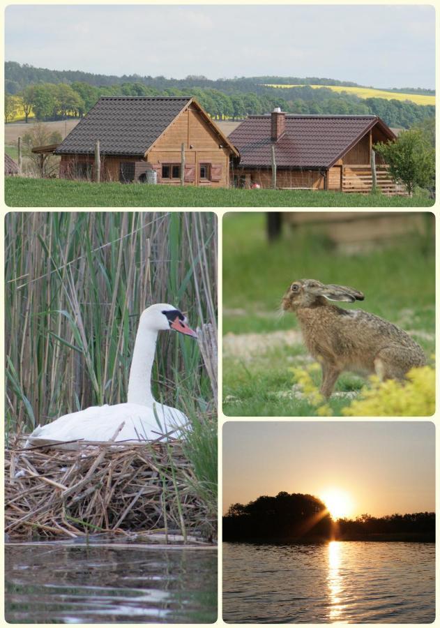Domek Triftberg Chojna Экстерьер фото
