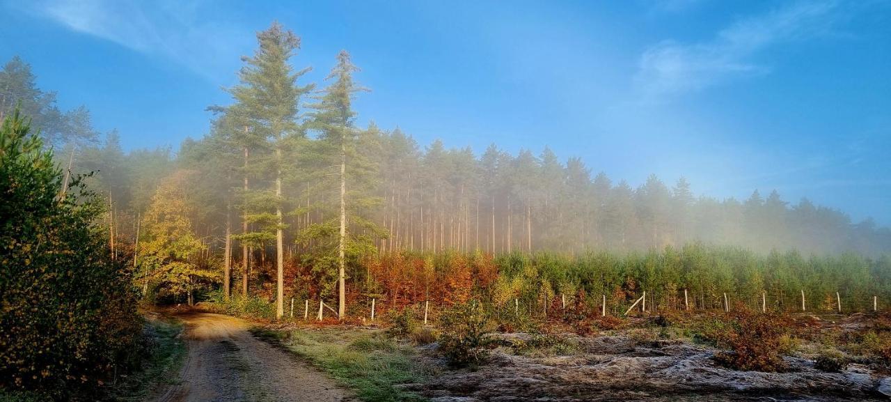 Domek Triftberg Chojna Экстерьер фото