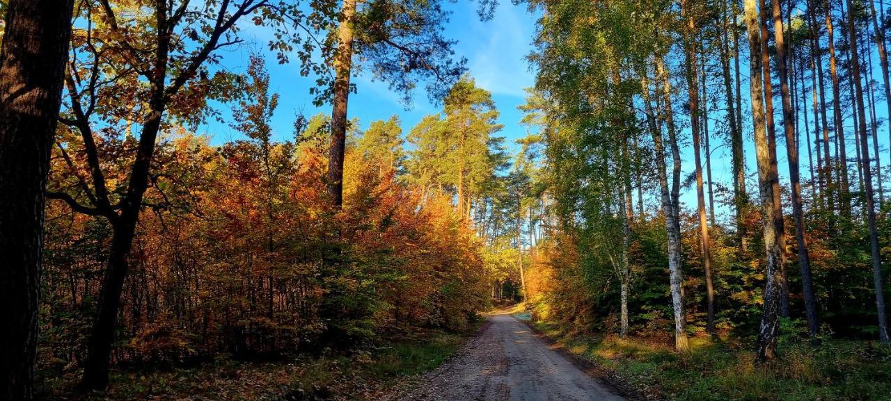 Domek Triftberg Chojna Экстерьер фото