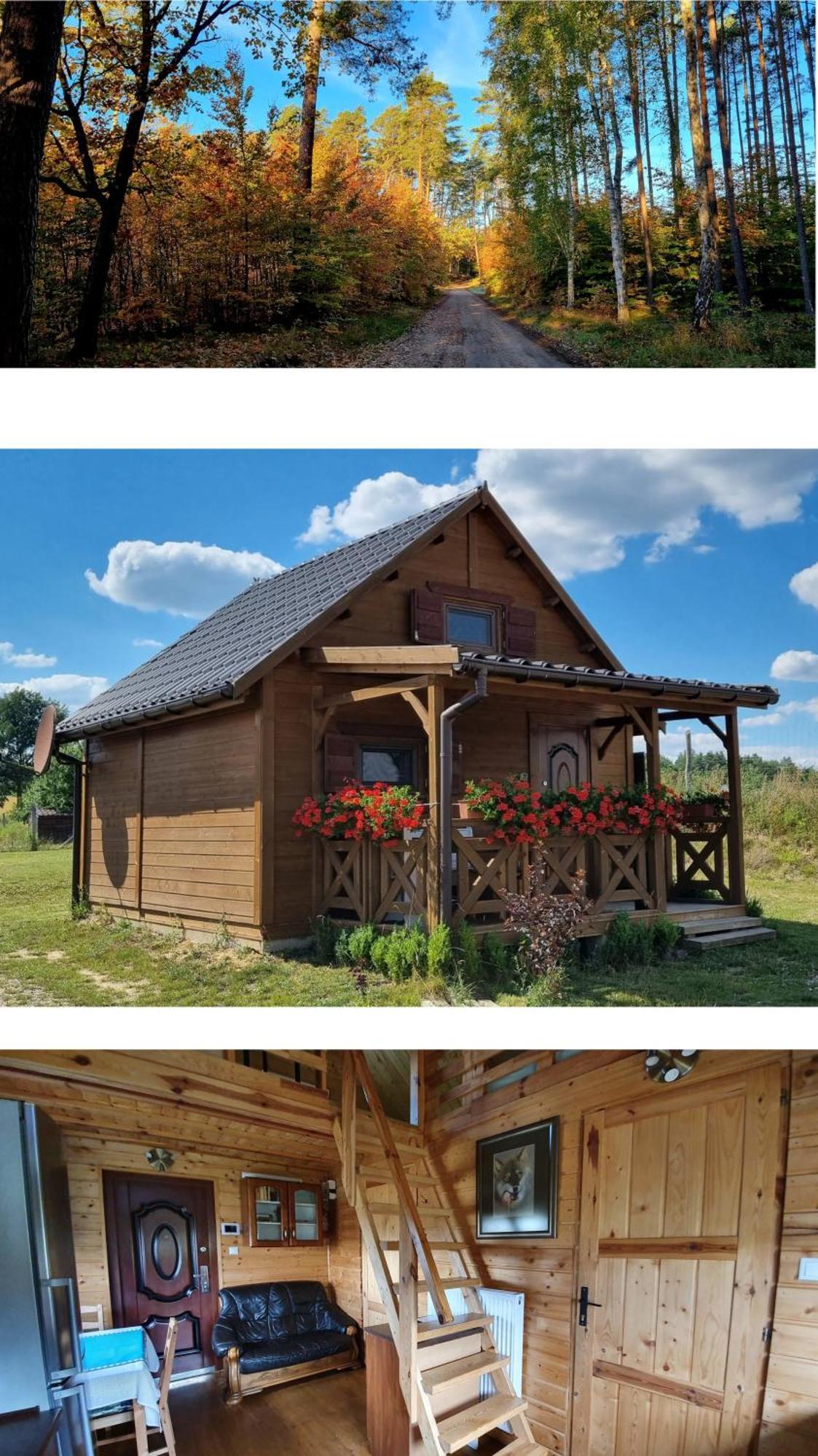 Domek Triftberg Chojna Экстерьер фото